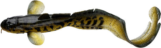 Savage Gear 3d Burbot Artificial Bait 75g Golden Ambulance