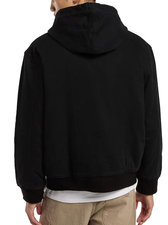 Dickies Dickies