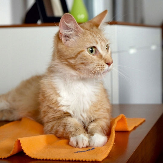 Vileda Microfiber Dust Cloth 1 Pc