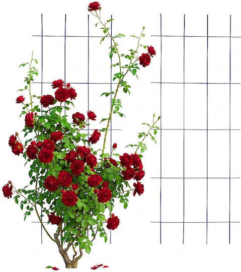 Grătar De Grădină 45x115cm Negru 10053131_303 Grătar De Grădină 45x115cm Negru 10053131_303