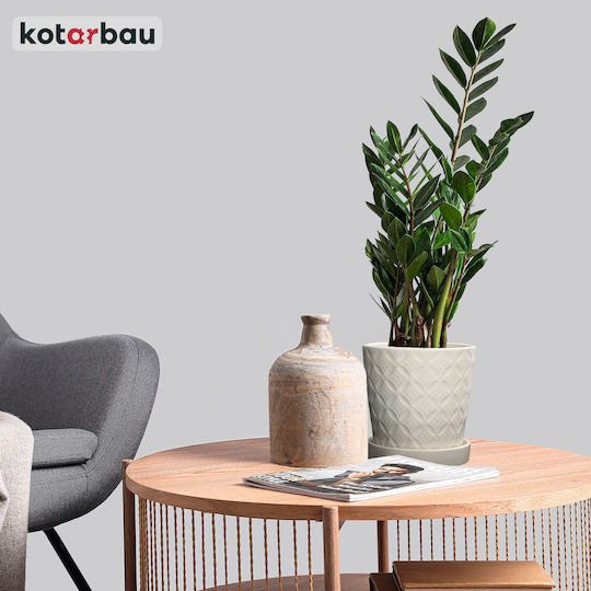 Kotarbau Γλάστρα Πήλινη White με Πιάτο 13x13εκ.