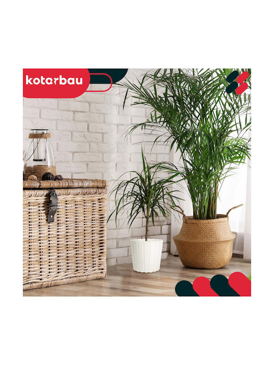 Kotarbau Set 4 Ghivece De Flori Din Plastic Albe