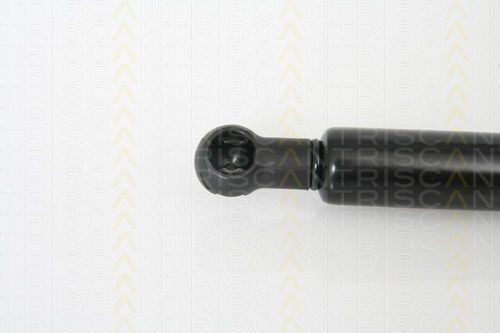 Triscan Kofferraum-Schock 8710 10100