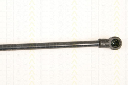 Triscan 8710 25245 Kofferraum-Schock