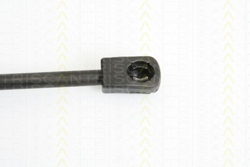 Triscan Trunk Shock Absorber 8710 43223