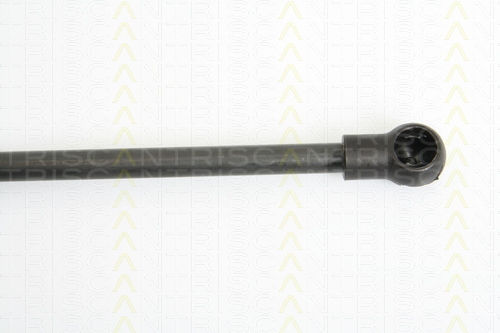 Triscan 8710 14244 Trunk Shock Absorber
