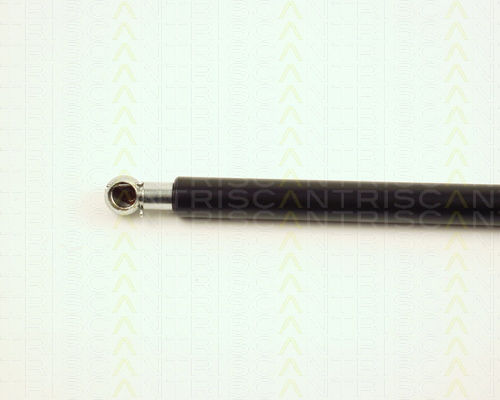 Triscan 8710 23204 Trunk Shock Absorber