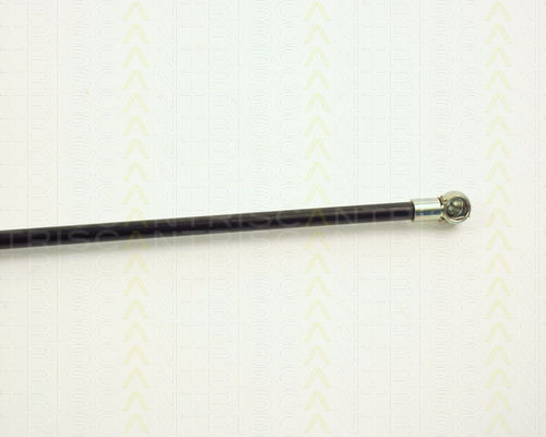 Triscan 8710 2912 Trunk Shock Absorber