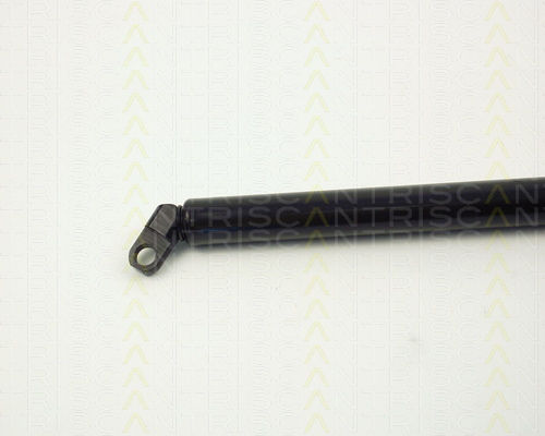 Triscan Trunk Shock Absorber 8710 11208