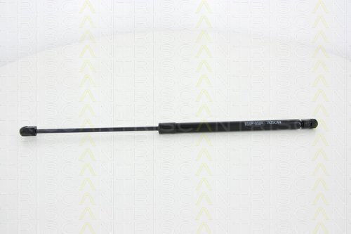 Triscan 8710 25257 Kofferraum-Schock
