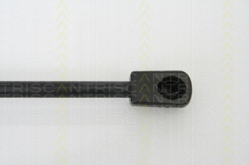 Triscan Trunk Shock Absorber 8710 13267