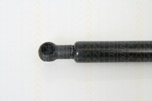 Triscan 8710 13266 Trunk Shock Absorber