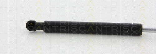 Triscan Амортисьор За Капак 8710 23119