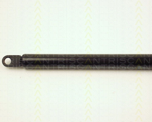 Triscan Hood Shock Absorber 8710 29103