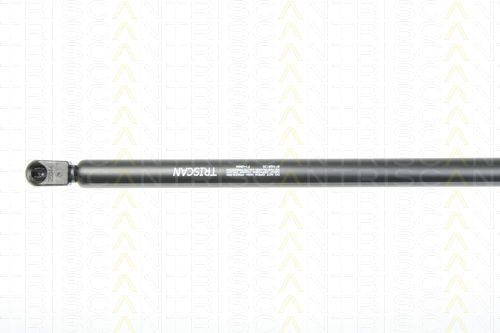 Triscan Hood Shock Absorber 8710 29130