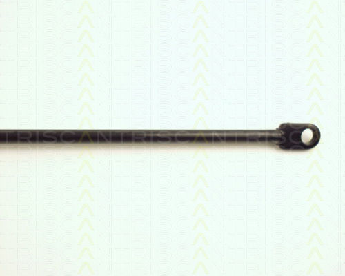 Triscan Hood Shock Absorber 8710 29103