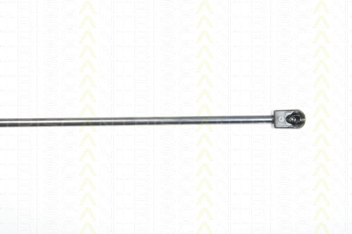 Triscan Hood Shock Absorber 8710 29130