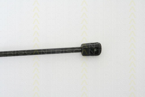 Triscan 8710 23211 Kofferraum-Schockabsorber