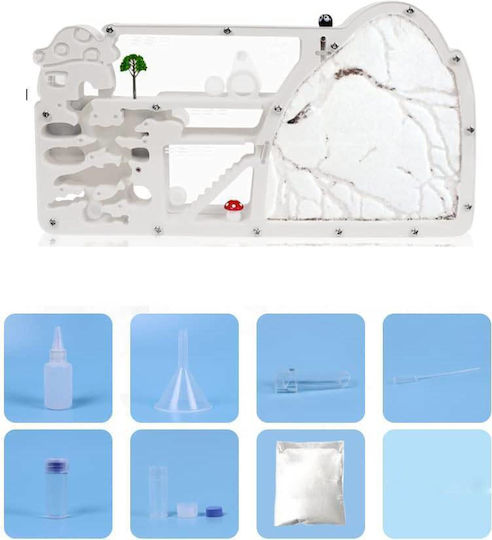 Formikarium Terrarium Furnici Educațional Creștere 27.5cm XXL Starter