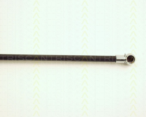 Triscan 8710 25220 Trunk Shock Absorber