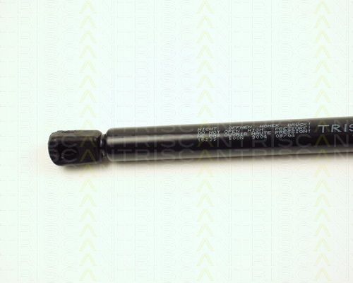 Triscan 8710 16235 Amortizor Portbagaj
