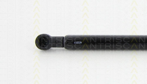 Triscan 8710 24246 Амортисьор За Багажник