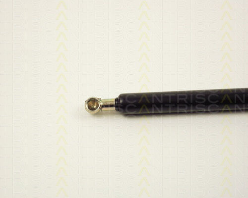 Triscan 8710 2914 Trunk Shock Absorber