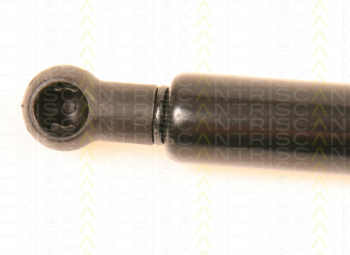 Triscan 8710 29249 Trunk Shock Absorber