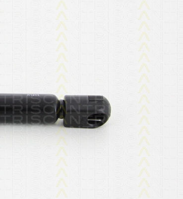 Triscan 8710 29298 Trunk Shock Absorber