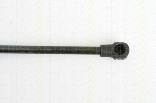 Triscan 8710 25234 Trunk Shock Absorber