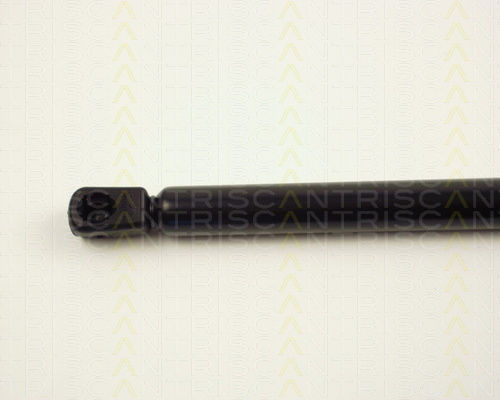 Triscan 8710 24206 Trunk Shock Absorber