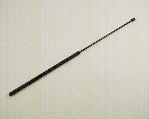 Triscan Kofferraum-Schock 8710 2302