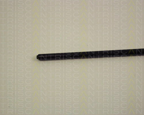 Triscan Kofferraum-Schock 8710 2302