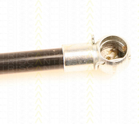 Triscan 8710 29250 Trunk Shock Absorber