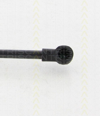 Triscan 8710 38231 Kofferraum-Schockabsorber
