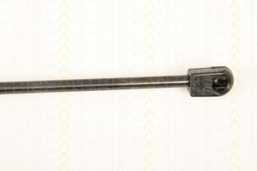 Triscan 8710 25250 Амортисьор За Багажник