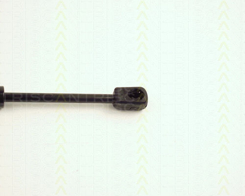 Triscan 8710 24224 Trunk Shock Absorber