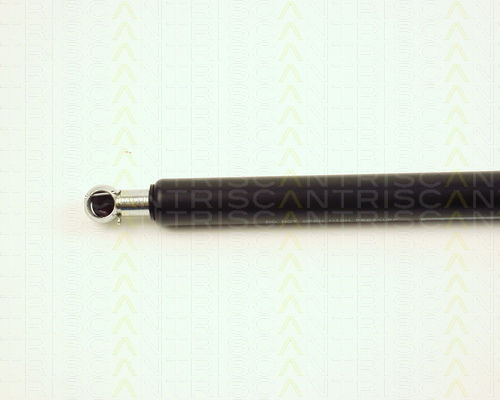 Triscan Trunk Shock Absorber 8710 25209