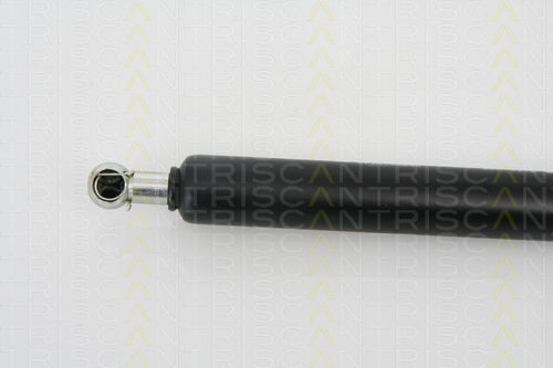 Triscan 8710 25230 Kofferraum-Schockabsorber