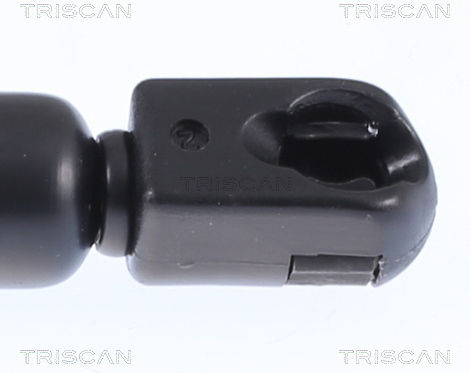 Triscan 8710 25242 Trunk Shock Absorber