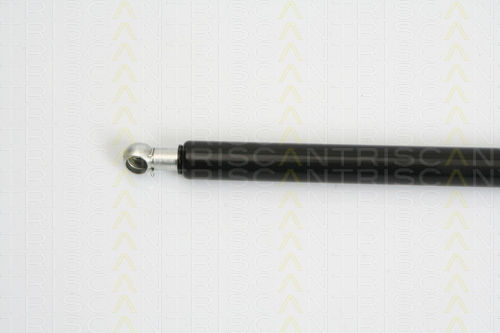 Triscan 8710 16246 Trunk Shock Absorber