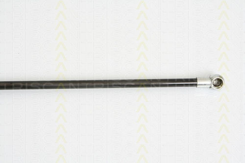 Triscan 8710 16246 Trunk Shock Absorber