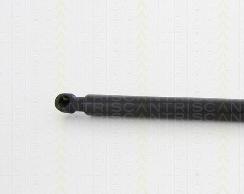Triscan 8710 17216 Trunk Shock Absorber