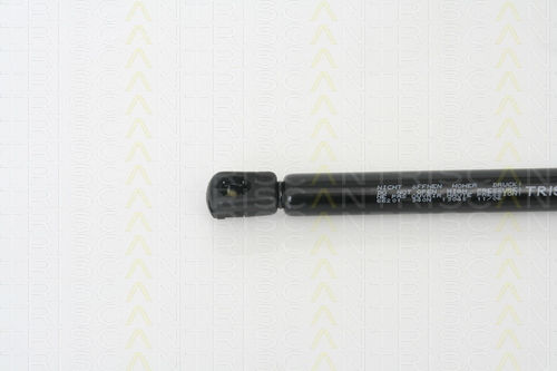 Triscan 8710 66201 Trunk Shock Absorber