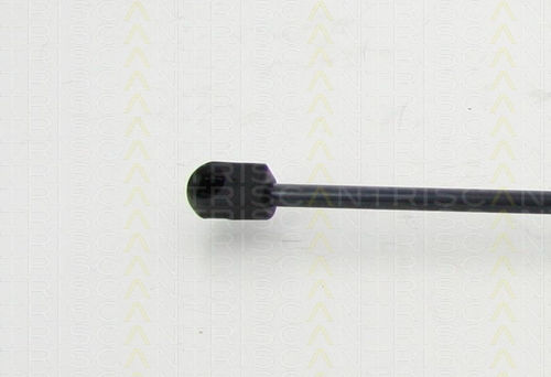 Triscan 8710 292033 Amortizor Portbagaj