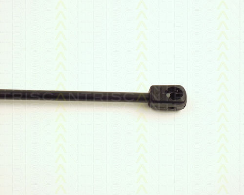 Triscan 8710 25210 Амортисьор За Багажник