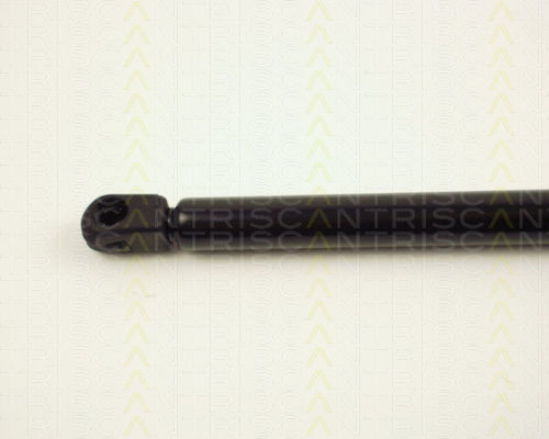 Triscan 8710 24201 Trunk Shock Absorber