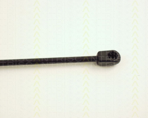 Triscan 8710 24201 Trunk Shock Absorber