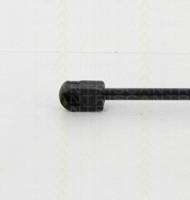 Triscan 8710 16260 Trunk Shock Absorber