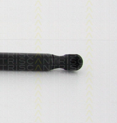 Triscan 8710 16260 Trunk Shock Absorber